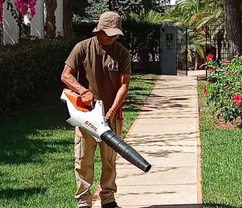 mantenimiento-jardines-2.jpeg
