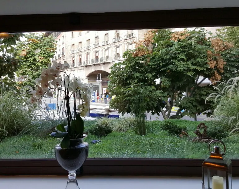 Cubierta vegetal para espacio exterior diseñada por Cultivos Pima