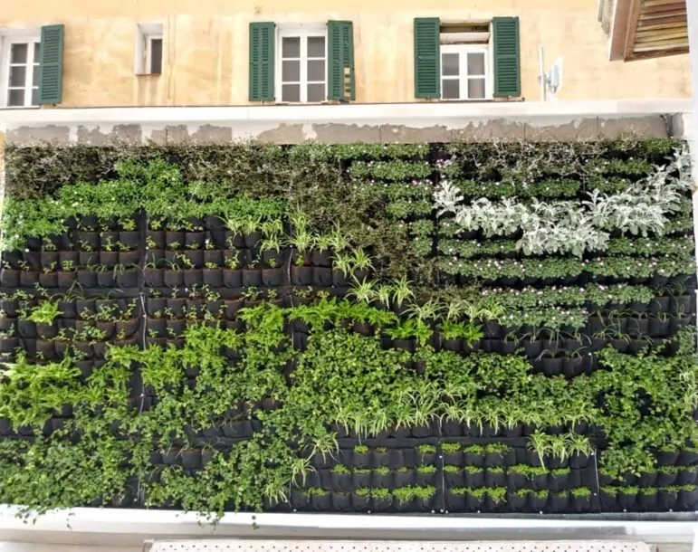 Jardín vertical en la fachada de un edificio con macetas modulares y una variedad de plantas verdes y decorativas