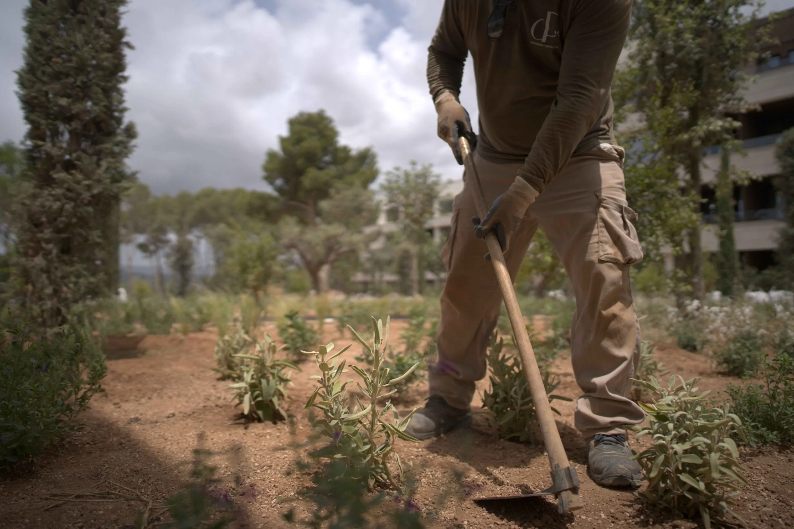 Mantenimiento de jardines en Mallorca