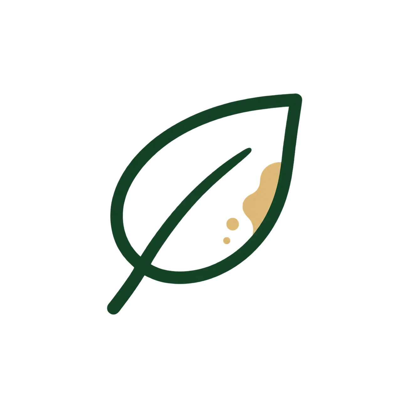 Características macroscópicas