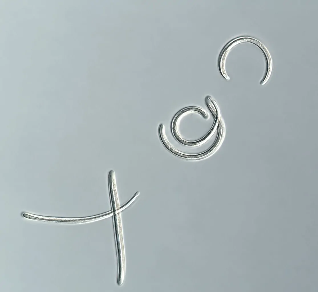 Ascosporas de Lophodermium pinastri