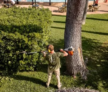 Un jardinero de espaldas, vestido con una camiseta verde y pantalones beige, utiliza un cortasetos de gasolina para podar un gran seto verde junto al tronco de un árbol. Al fondo se aprecian mesas, sillas y una piscina.